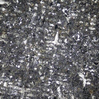 Microstructure of gray cast iron at 100x magnification. | Download ...