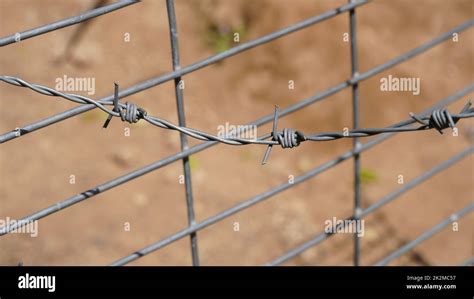 Barbed Wire Part Of Guarding Farm Fence A Close Up Of A Barbed Wire Fence At A Cattle Farm