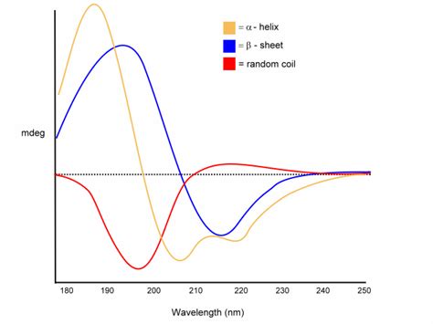 CD Spectroscopy Discussion