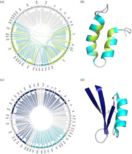 Amp‐bert Prediction Of Antimicrobial Peptide Function Based On A Bert