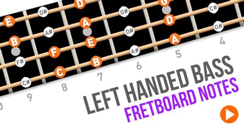 5 String Bass Fretboard Notes