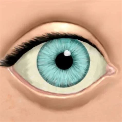 A Long Slow Blow Job Amateur Amateur Porn XHamster