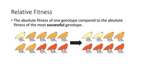 Fitness And The Rate Of Evolution Ppt Download