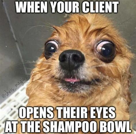 Funny Hairdresser Memes Funny Hairstylist Quotes Hairstylist Memes