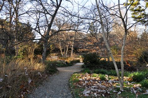 What Do Gardeners Do In The Winter North Carolina Botanical Garden