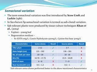 Case Study Report On Sugarcane Ppt