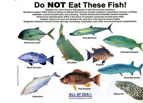 Do Not Eat These Sea Fish Fish Types Of Fish Sea Fish