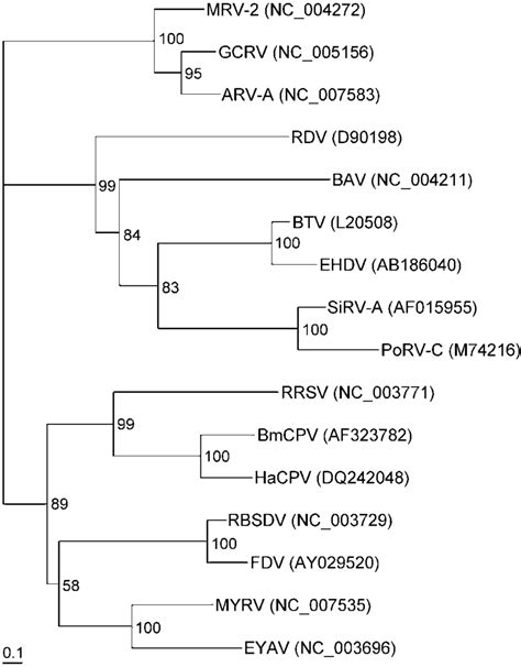 Phylogenetic Analysis Of The Rdrp Domains Trees Were Constructed From