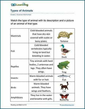 Types of animals worksheets - Students learn the differences between ...