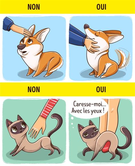 Des Illustrations Qui Montrent Que Les Chiens Et Les Chats Viennent De