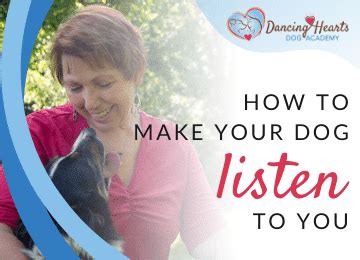 how to make a dog listen