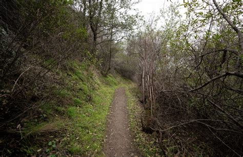 Chasing waterfalls: Time to hike Mount Diablo State Park is now ...