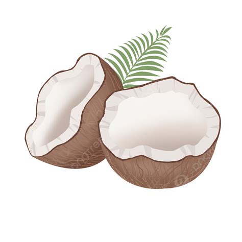 Coconut Fruit Png Picture Tropical Fruit Coconut Clip Art Coconut