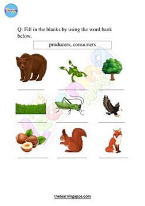 Food Chain Printable Worksheets For Grade 123 Science Printable For