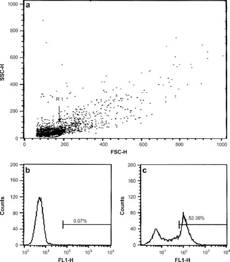 Representative Flow Cytometry Generated Forwardside Scatter Fscssc