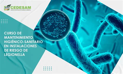 Programa del Curso de Mantenimiento higiénico sanitario en