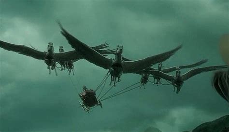 Winged Horse Harry Potter Wiki Fandom Powered By Wikia