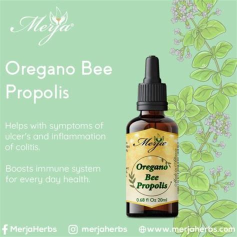 Bee Propolis With Oregano Concentrated Extract Ml High Strength