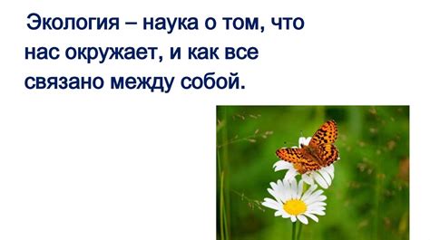 Практическая экология для младших школьников. Продуктивные приемы ...