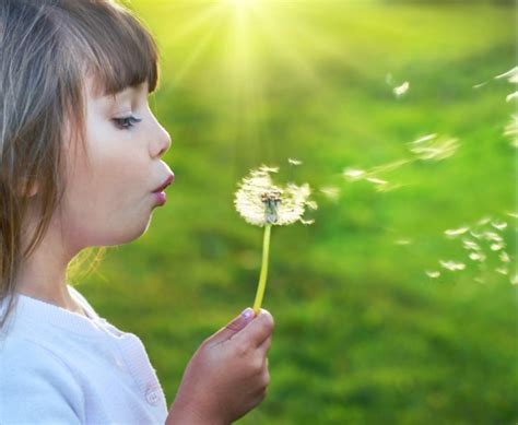A Wish Come True Inc The Oldest Wish Granting Organization In Ri