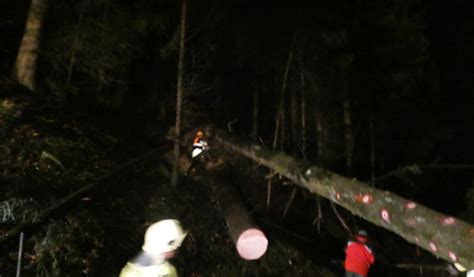 10 02 2020 t1 Baum verlegt Straße Feuerwehr Buch