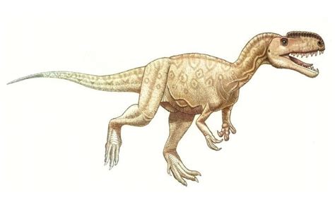 Monolophosaurus | A Chinese Middle Jurassic Predator