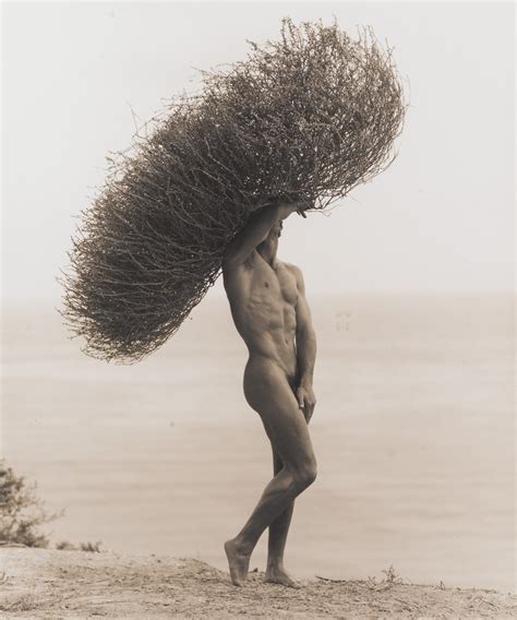 Herb Ritts Male Nude With Tumbleweed Paradise Cove Barnebys