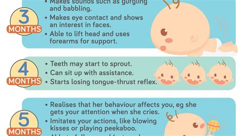 Know your baby’s first-year milestones [Infographic]