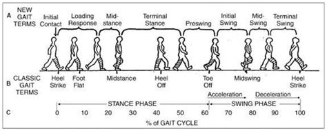 Functional Gait Assessment A Performance Precursor And Disease Marker Occupational Therapist