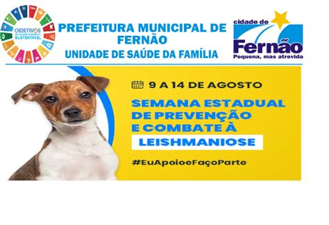 Notícia Secretaria Municipal de Saúde de Fernão participa de Semana