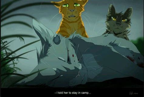 Пин от пользователя 𝐴𝑘𝑦 на доске Warrior cats | Котята, Кошачий рисунок, Кошки воины