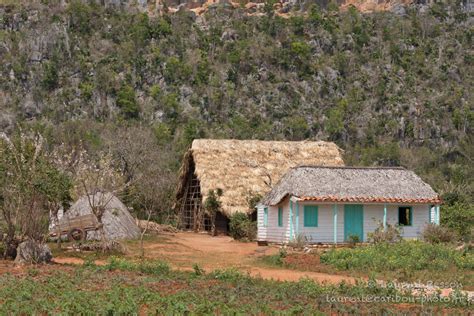 Cuba Mars Caribou Photo Fr Photgraphies Par Laurent Besson