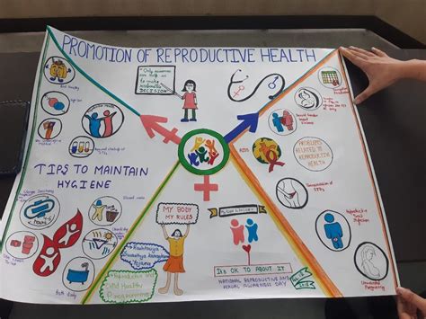 Poster making on promotion of reproductive health | Reproductive health, Poster making, Kids health