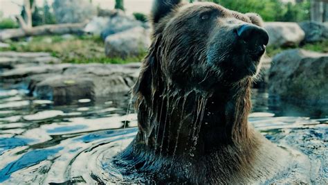 Minnesota Zoo Reopening on Friday