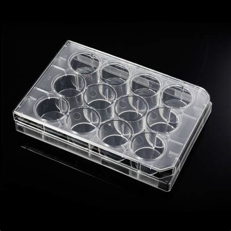 Well Plastic Tissue Culture Plate Disposable Tc Treated Lab