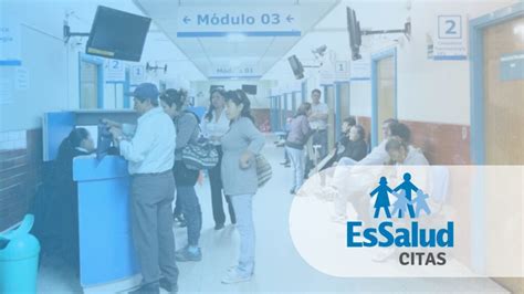 Essalud En Línea Todo Lo Que Necesita Saber Trámites Y Consultas Perú