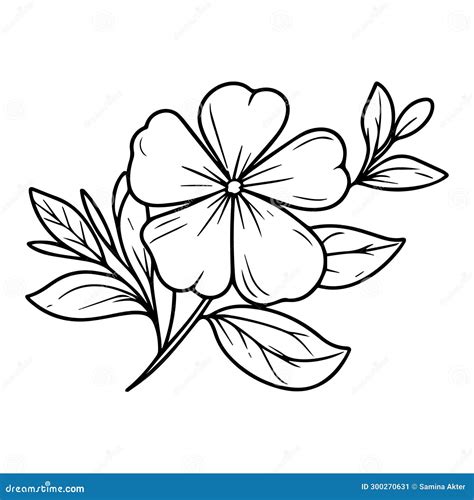 Step By Step Periwinkle Flower Drawing Madagascar Periwinkle Drawing