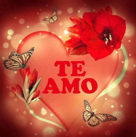 ️ 30 Imágenes De Te Amo Con Frases Bonitas Para Compartir Gratis