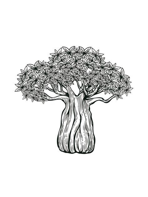 Baobab Tree Coloring Page Arkan Blog