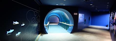 Lake Biwa Museum - Aquarium