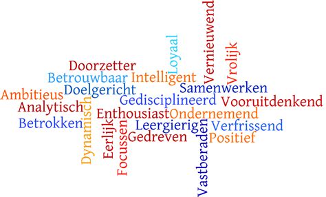 Deze Eigenschappen Kenmerken Mij Op Basis Van 360 Graden Feedback Van