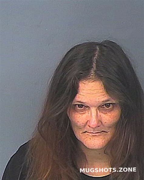 Robinson Wendy Lynn Hernando County Mugshots Zone