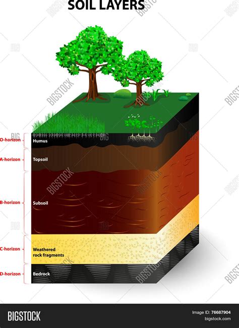 Soil Formation Soil Vector & Photo (Free Trial) | Bigstock