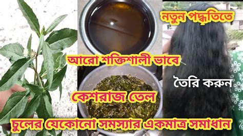 চুলের ম্যাজিক তেল বাড়িতে তৈরি করুন মহা শক্তিশালী ভৃঙ্গরাজ তেল কেশরাজ তেল হারবাল তেল