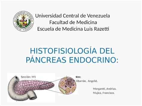 Pptx Histofisiologia Del Pancreas Endocrino Dokumen Tips