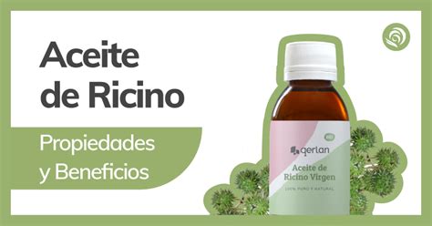 Aceite De Ricino Sus Propiedades Y Beneficios