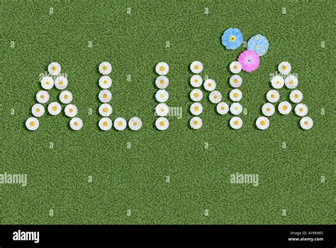 Alina first name girl written illustration Stock Photo - Alamy