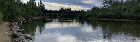 Chena Riverwalk 46 Photos Alaska Alltrails