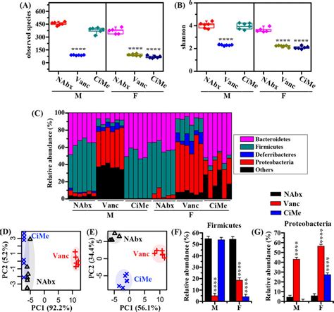 Sex Differences In Antibiotic Effects On The Gut Microbiota At The Download Scientific Diagram