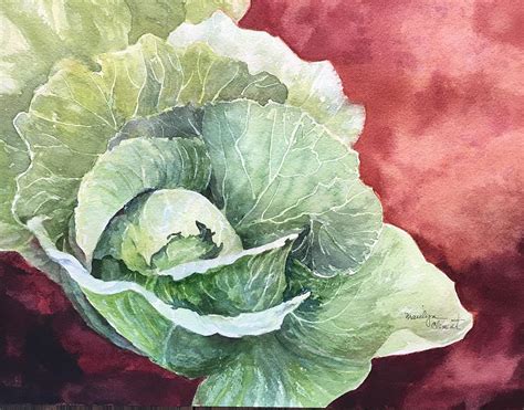 Green Cabbage Painting By Marilyn Clement Fine Art America